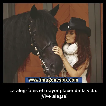 Imagenes de frases de caballos - Imagui