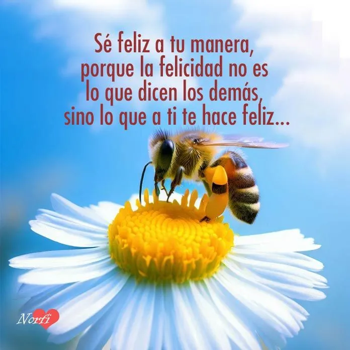 Imágenes con frases célebres sobre la vida y la felicidad Imágenes con frases célebres sobre la vida y la felicidad