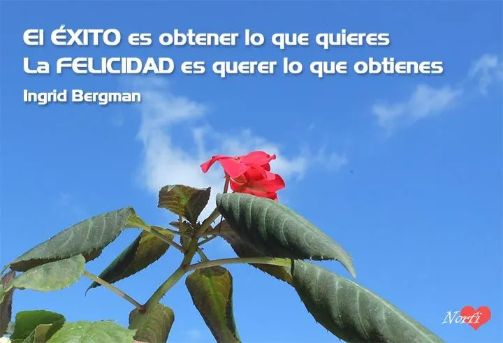 Imágenes con frases célebres sobre la vida y la felicidad