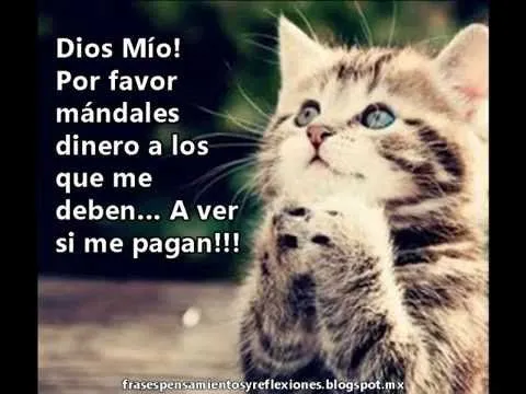 Imágenes con frases chistosas para compartir - YouTube Imágenes con frases chistosas para compartir - YouTube