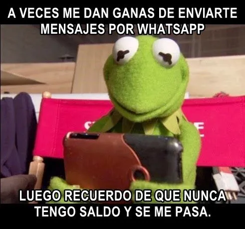 Imagenes chistosas rana rene - Imagui