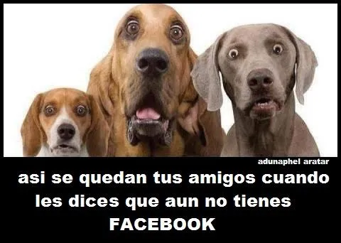 imagenes con frases para compartir: imagenes con frases graciosas ... imagenes con frases para compartir: imagenes con frases graciosas ...