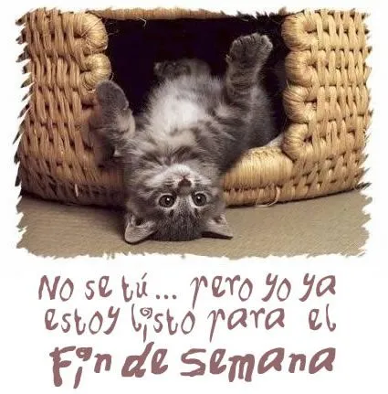 Imágenes con Frases para Desear un Feliz Fin de Semana, Feliz ...