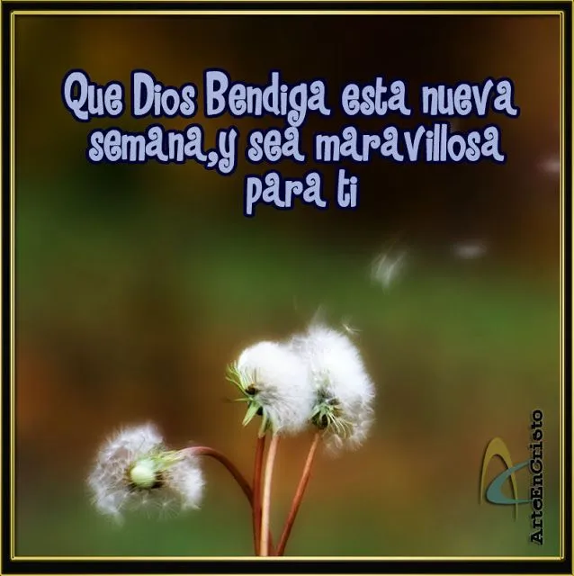 Imágenes con Frases para Desear una Feliz Semana, Buena Semana ...