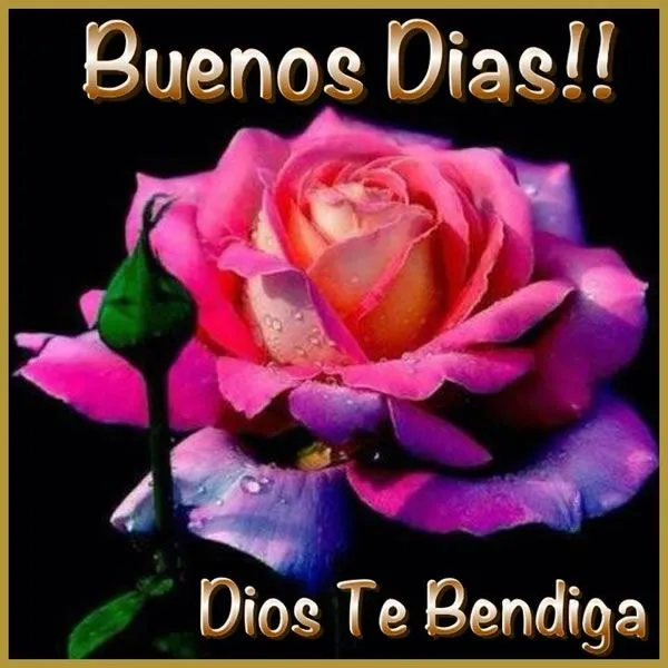 Imágenes con Frases para dar los Buenos Días, Feliz Día, Buen Día ... Imágenes con Frases para dar los Buenos Días, Feliz Día, Buen Día ...