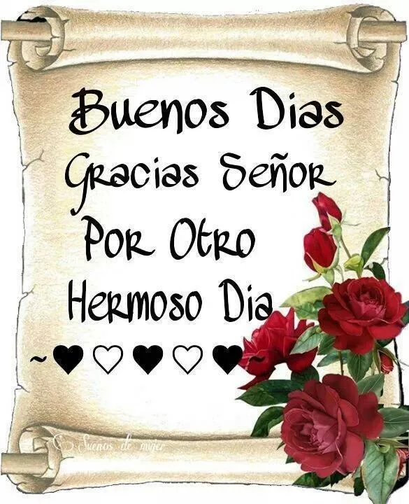 Imágenes con Frases para dar los Buenos Días, Feliz Día, Buen Día ...