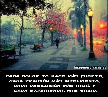 IMAGENES Y FRASES: diciembre 2013