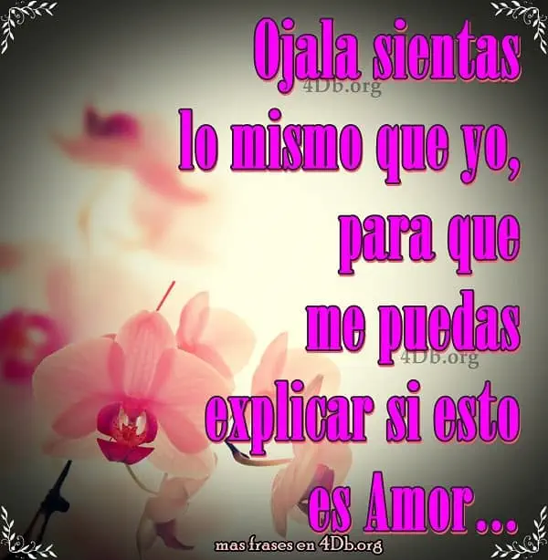 Imagenes con frases para enamorar GRATIS - Beliefnet.com Imagenes con frases para enamorar GRATIS - Beliefnet.com