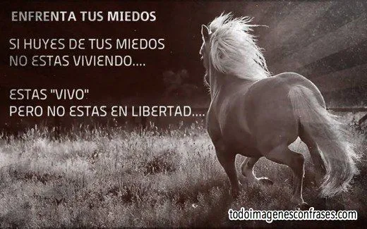 imagenes con frases de enfrentar los miedos | Buhos | Pinterest ...