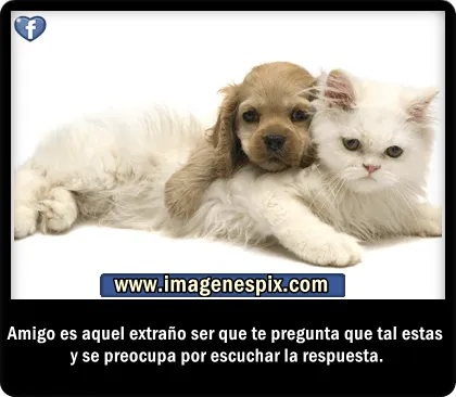 Imagenes con frases facebook | Imágenes de amor : Imágenes de ...