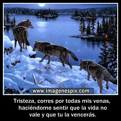 Imagenes con frases facebook | Imágenes de amor : Imágenes de ... Imagenes con frases facebook | Imágenes de amor : Imágenes de ...