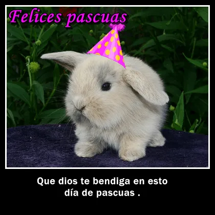 Imagenes con frases facebook | Imágenes de amor : Imágenes de ...