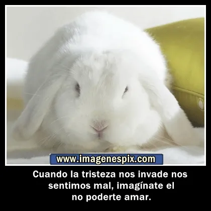 Imagenes con frases facebook | Imágenes de amor : Imágenes de ... Imagenes con frases facebook | Imágenes de amor : Imágenes de ...