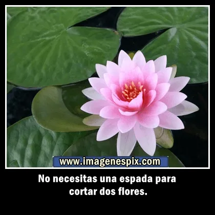 Imagenes con frases facebook | Imágenes de amor : enero 2013