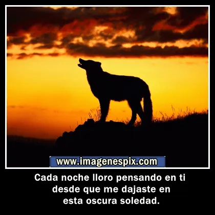 Imagenes con frases facebook | Imágenes de amor : enero 2013
