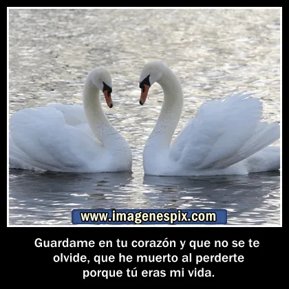 Imagenes con frases facebook | Imágenes de amor : septiembre 2013 Imagenes con frases facebook | Imágenes de amor : septiembre 2013