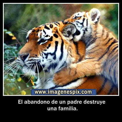 Imagenes con frases facebook | Imágenes de amor : mayo 2013 Imagenes con frases facebook | Imágenes de amor : mayo 2013