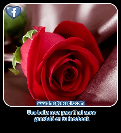 Imagenes con frases facebook | Imágenes de amor : Imágenes flores ... Imagenes con frases facebook | Imágenes de amor : Imágenes flores ...