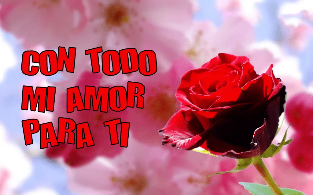 Solo Imagenes, Frases, Fotos y Carteles de Amor: Una rosa con todo ... Solo Imagenes, Frases, Fotos y Carteles de Amor: Una rosa con todo ...