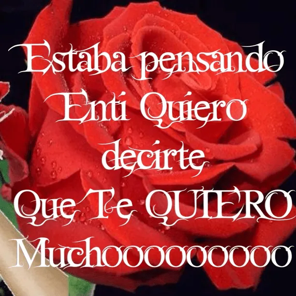 Estaba pensando en tí. Quiero decirte que te QUIERO MUCHO ... Estaba pensando en tí. Quiero decirte que te QUIERO MUCHO ...