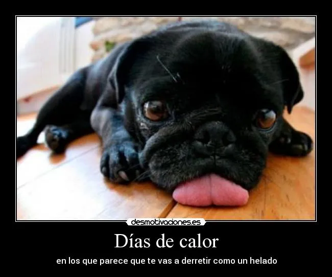 Días de calor | Desmotivaciones