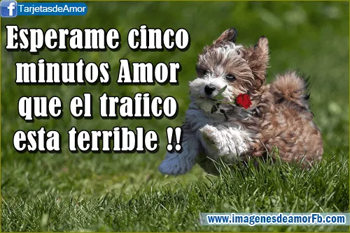 Postales de frases chistosas - Imagui