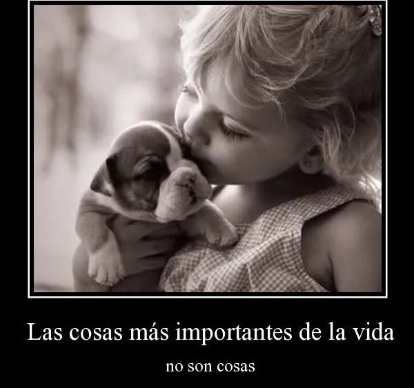 Imagenes • Frases con imagenes para mentirosos Imagenes • Frases con imagenes para mentirosos