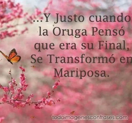 Imágenes con frases lindas Archives - Imágenes con Frases Imágenes con frases lindas Archives - Imágenes con Frases