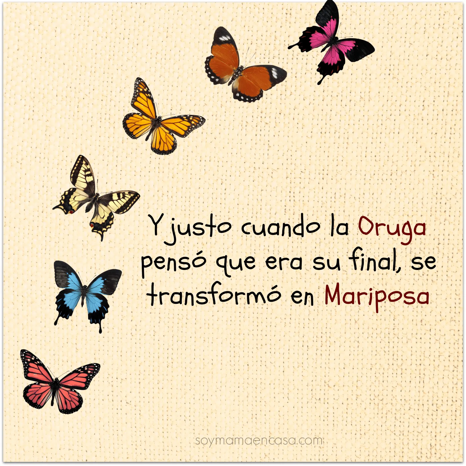 Imagenes de mariposas con frases lindas - Imagui