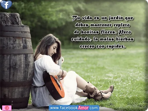 Imagenes con frases de perdida de un padre fallecimiento | imagen ...