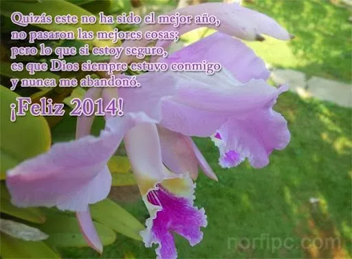 Imágenes con frases y poemas de amor : Gracias por el año que ...