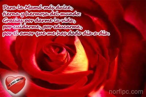 Imágenes decoradas con frases y versos para el día de las madres Imágenes decoradas con frases y versos para el día de las madres