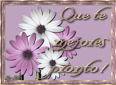 Imágenes con frases “que te mejores” | Trato o truco Imágenes con frases “que te mejores” | Trato o truco