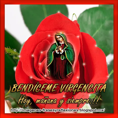 Imágenes, Frases y Reflexiones: Virgen de Guadalupe en flores Imágenes, Frases y Reflexiones: Virgen de Guadalupe en flores