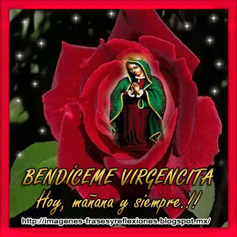 Imágenes, Frases y Reflexiones: Virgen de Guadalupe en flores Imágenes, Frases y Reflexiones: Virgen de Guadalupe en flores
