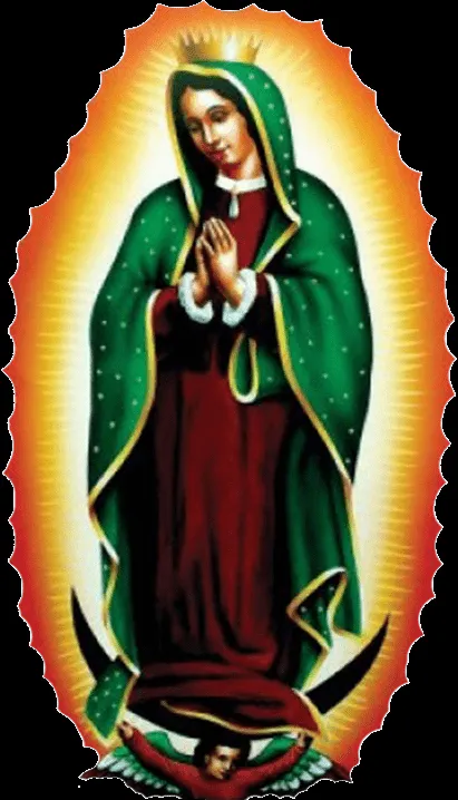 Imágenes, Frases y Reflexiones: Virgen de Guadalupe en png