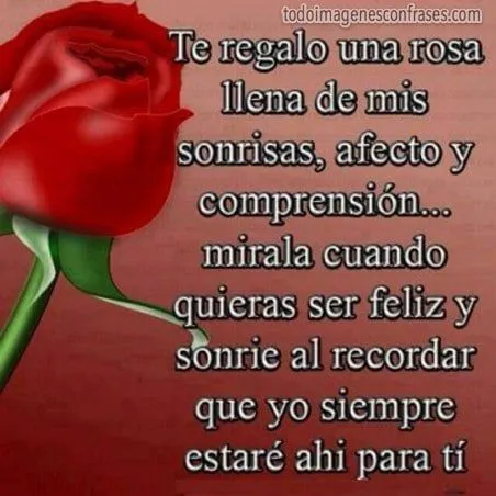 Imágenes con Frases: Te regalo una rosa - Imágenes con Frases