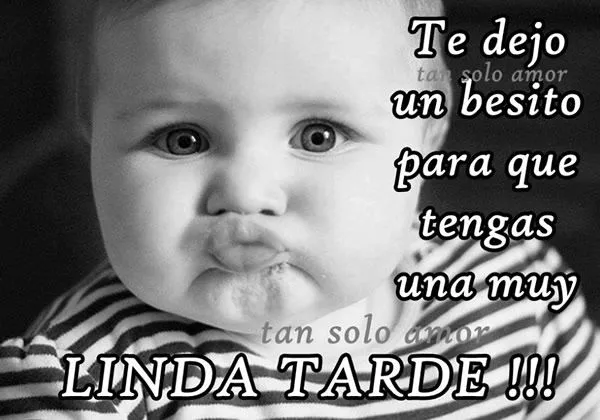 Imágenes con Frases para dar las Buenas Tardes, Feliz Tarde, Linda ...