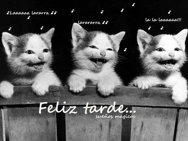 Imágenes con Frases para dar las Buenas Tardes, Feliz Tarde, Linda ...