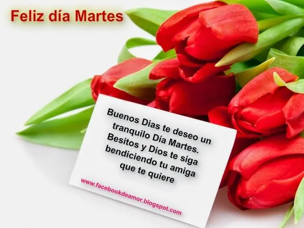 imágenes con frases,consejos y mas : Imágenes con frases feliz ...
