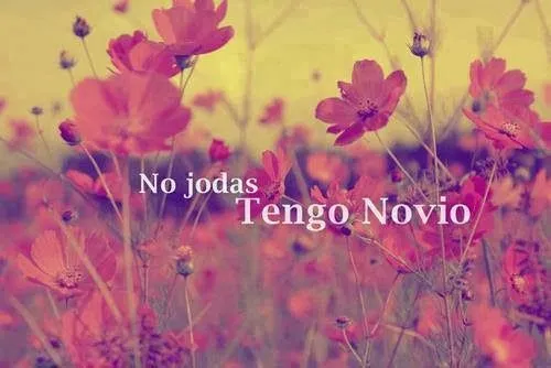 Imagenes Y Frasesitas : No Jodas Tengo Novio