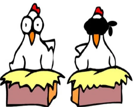 Ladrón de gallinas ~ La Visión del Extranjero Ladrón de gallinas ~ La Visión del Extranjero