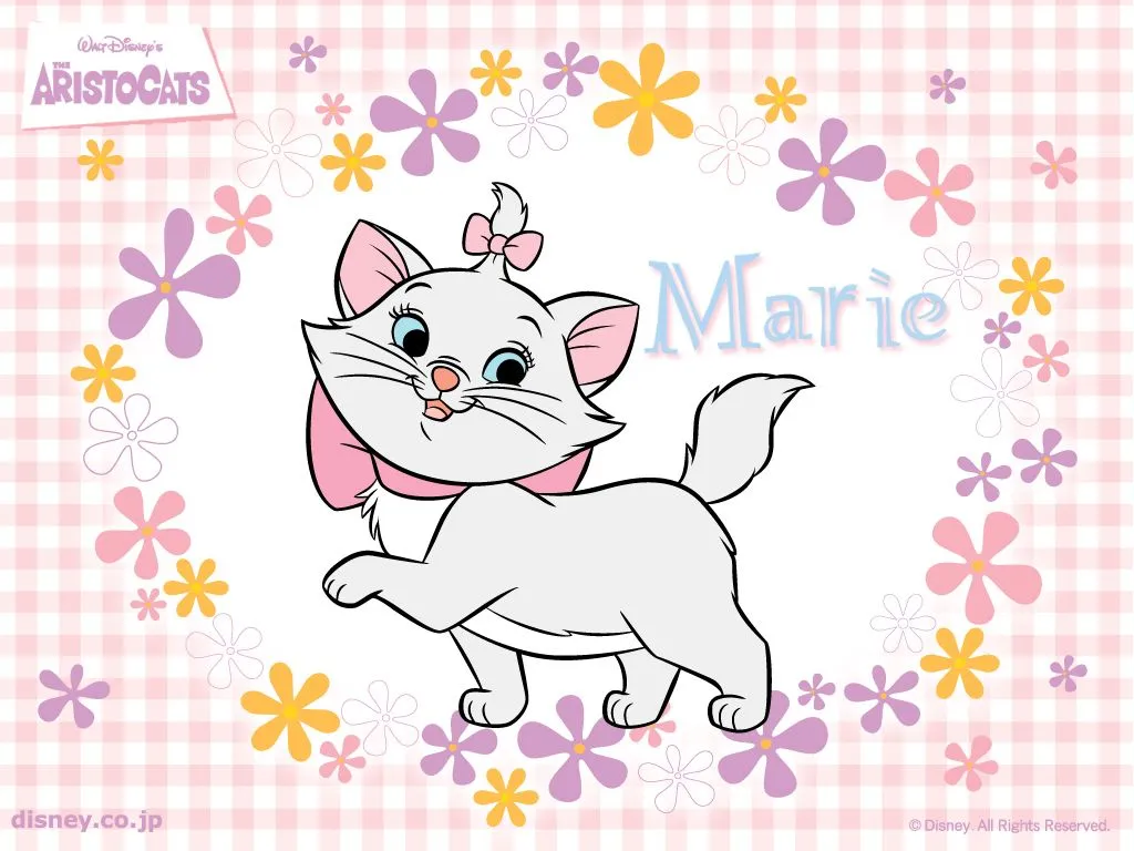 Imagenes de gata marie - Imagui