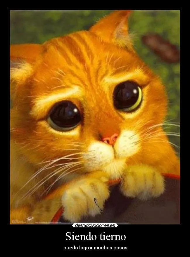 Siendo tierno - desmotivaciones.