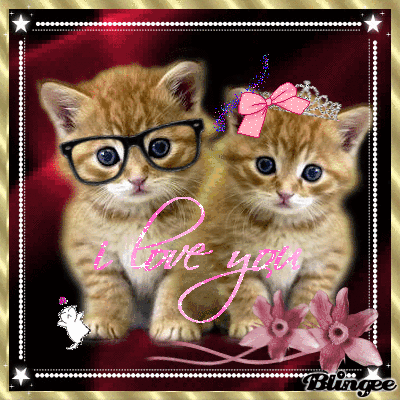 Imágenes de gatitos enamorados | Imagenes Tiernas - Imagenes de Amor Imágenes de gatitos enamorados | Imagenes Tiernas - Imagenes de Amor
