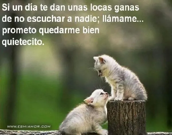 Prometo quedarme quitecito | EsMiAmor - Descargar Imágenes de Amor ...