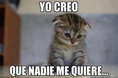 SUMATE A NUESTRO FACEBOOK: Gatitos tiernos 2012