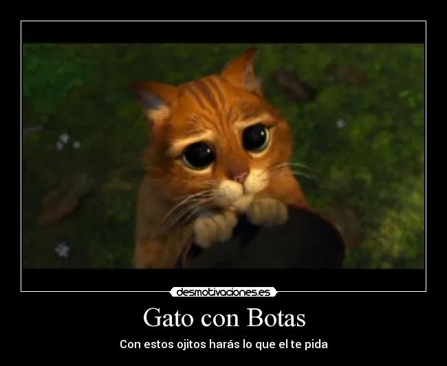 Carteles de Haras Pag. 13 | Desmotivaciones