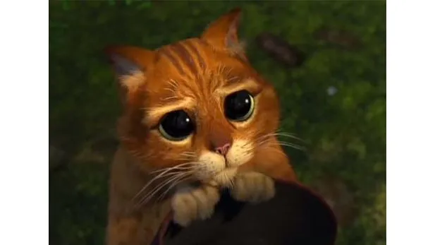 Imagenes del gato con botas tierno - Imagui