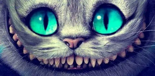 gato sonriente | Tumblr